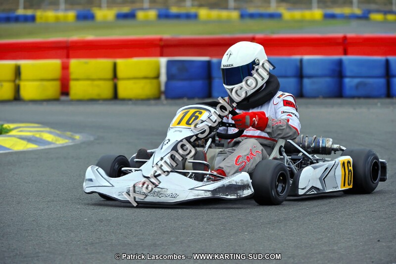 DSC_ (2073).jpg